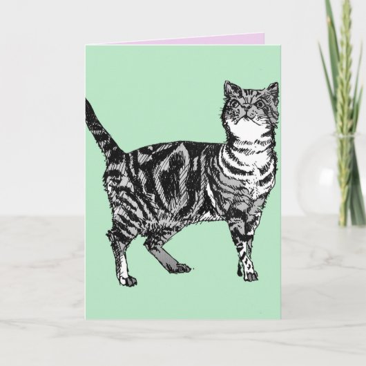 Tabby Cat Cute Cats Pink Art Dessin Carte Annivers (Devant)