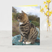 Tabby Cat Cute Strited Cats Carte Anniversaire (Fleur jaune)