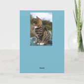 Tabby Cat Cute Strited Cats Carte Anniversaire (Dos)