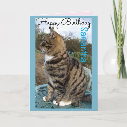 Tabby Cat Cute Strited Cats Carte Anniversaire (Devant)