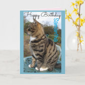 Tabby Cat Cute Strited Cats Carte Anniversaire (Fleur jaune)