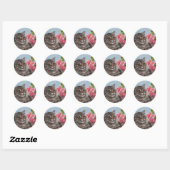 Tabby Cat en Rozen Stickers (Vel)