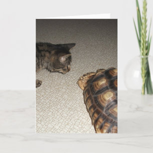 Tabby Cat en Sulcata schildpad Kaart