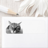 Tabby cat, étiquettes d'adresse de retour (En situation)
