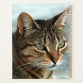 Tabby Cat étonnant FermerPortrait Artistique (Dos)