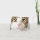 tabby cat face bedankt (Voorkant)