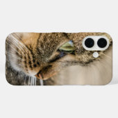 Tabby Cat Face Close-up Case-Mate iPhone Case (Achterkant (horizontaal))