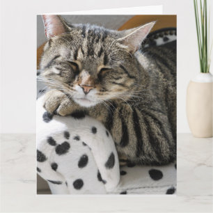 TABBY CAT FUNNY LEUKE VERJAARDAG KAART
