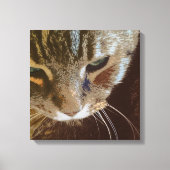 Tabby Cat Gros plan Toile Enveloppée (Recto)