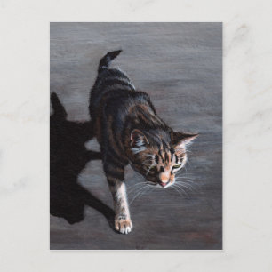 Tabby Cat in Sun met schaduwBriefkaart Briefkaart