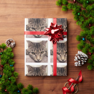 Tabby Cat-Instagram van Shirley Taylor Cadeaupapier