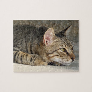 Tabby Cat Jigzaag Legpuzzel
