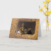 Tabby Cat, kaart (Gele Bloem)