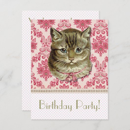 Tabby cat kaart (Voorkant / Achterkant)