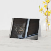 Tabby Cat Kaart (Gele Bloem)