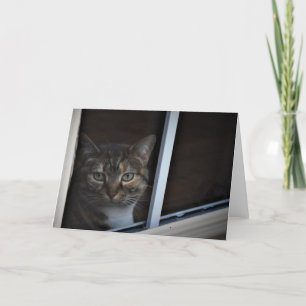 Tabby Cat Kaart