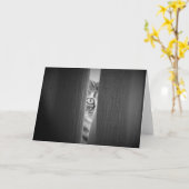 Tabby Cat, kaart (Gele Bloem)