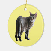 Tabby Cat Keramisch Ornament (Links)