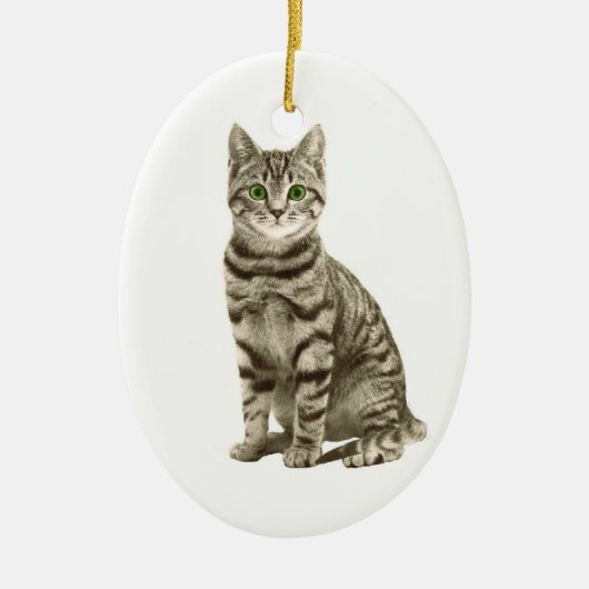 Tabby Cat Keramisch Ornament (Voorkant)
