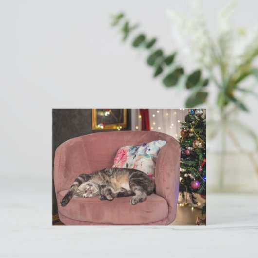 Tabby Cat Kerstmis Snooze Briefkaart (Staand voorkant)