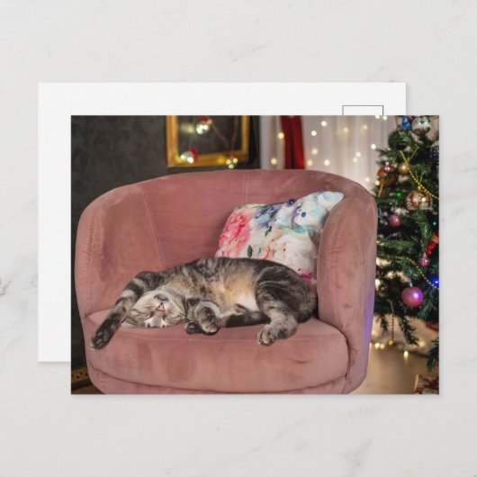 Tabby Cat Kerstmis Snooze Briefkaart (Voorkant / Achterkant)