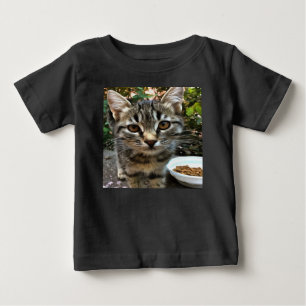 Tabby Cat Kitten die oog contact maken
