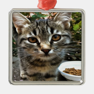Tabby Cat Kitten die oog contact maken Metalen Ornament