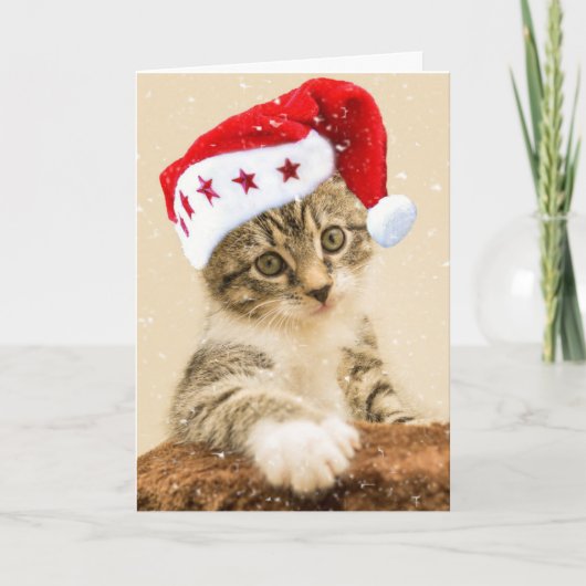 TABBY CAT KITTEN MEOWY CHRISTMAS KAART (Voorkant)
