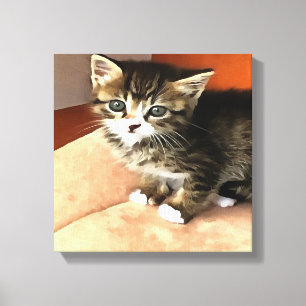 Tabby Cat Kitten Pet Portret Canvas Afdruk