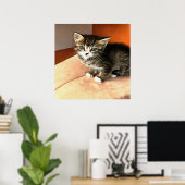 Tabby Cat Kitten Pet Portret Poster (Thuiskantoor)