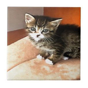 Tabby Cat Kitten Pet Portret Tegeltje