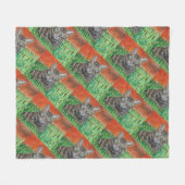 Tabby cat looking curious in grass fleece blanket (Voorkant (Horizontaal))
