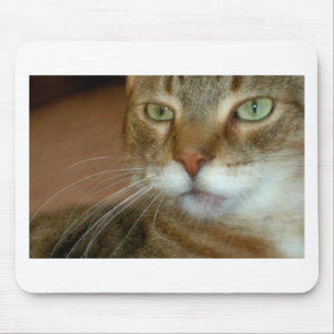 Tabby Cat Love Muismat