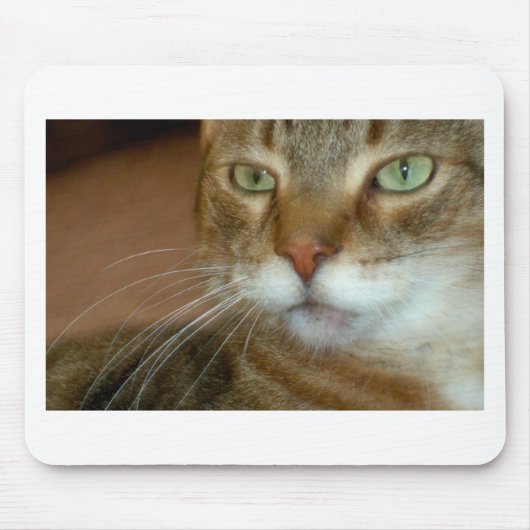 Tabby Cat Love Muismat (Voorkant)