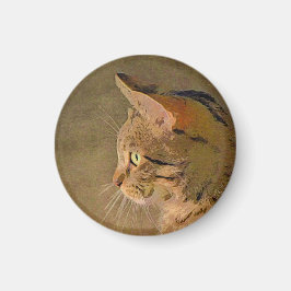 Tabby Cat Magneet
