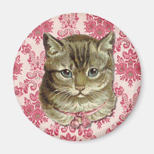 Tabby cat magneet (Voorkant)