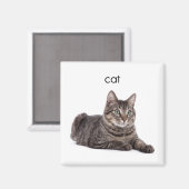 Tabby Cat Magneet (Voorkant / Achterkant)