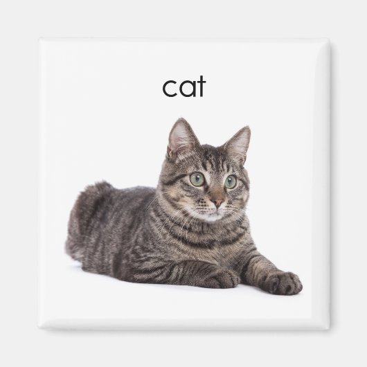 Tabby Cat Magneet (Voorkant)