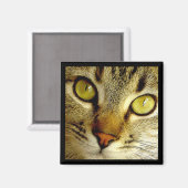 Tabby Cat - Magnet (Recto/Verso)