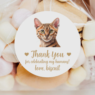 Tabby Cat Mariage Favoriser Stickers