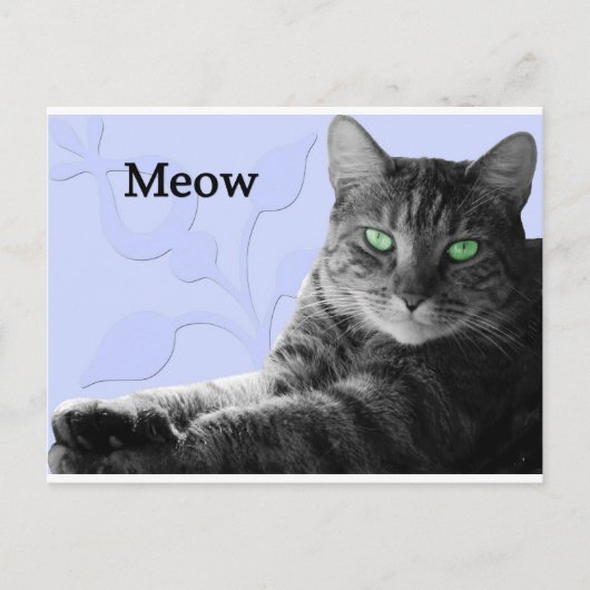 Tabby Cat Meow Briefkaart (Voorkant)