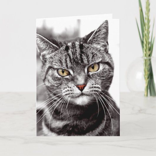 Tabby Cat met Attitude Kaart (Voorkant)