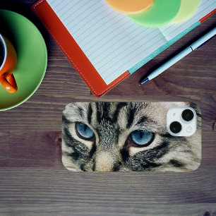 Tabby Cat met Blue Eyes Close-up