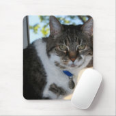 Tabby Cat met ogen Muismat (Met muis)