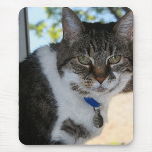 Tabby Cat met ogen Muismat (Voorkant)