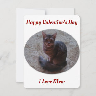 Tabby Cat Mewing Photo I Love Mew Valentijns Feestdagenkaart