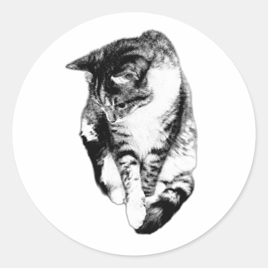 Tabby Cat monochrome Sticker neerkijken (Voorkant)