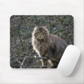 Tabby Cat Mousepad met lang haar Muismat (Met muis)