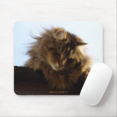 Tabby Cat Mousepad met lang haar Muismat (Met muis)