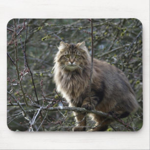Tabby Cat Mousepad met lang haar Muismat